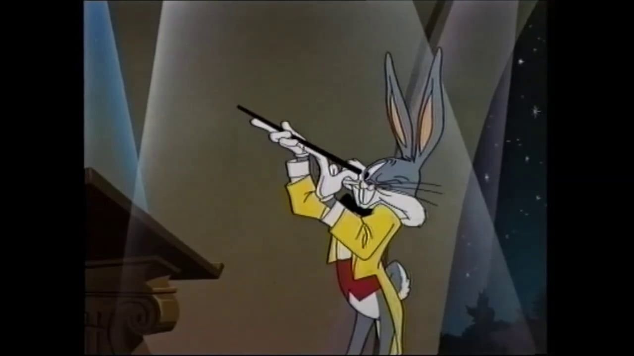 Il maestro Bunny