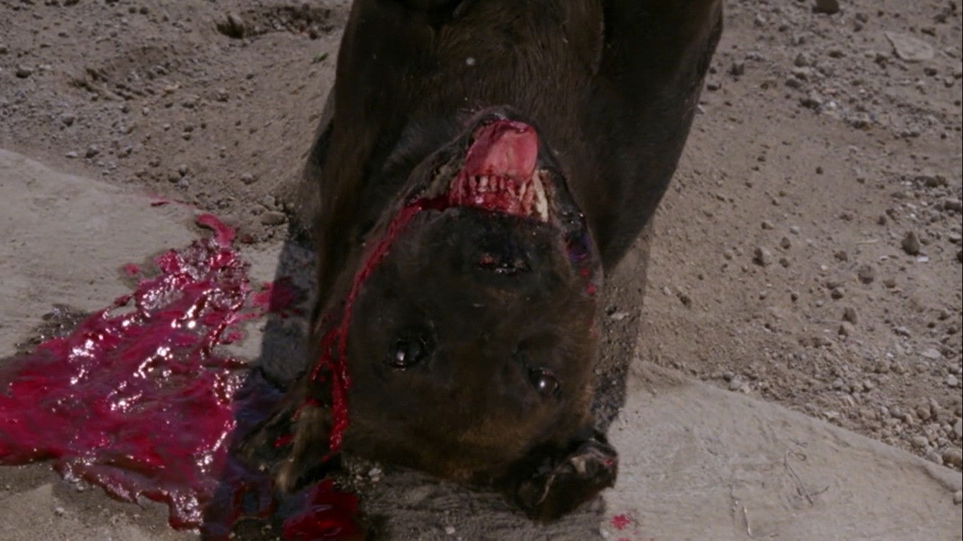 El gran perro muerto