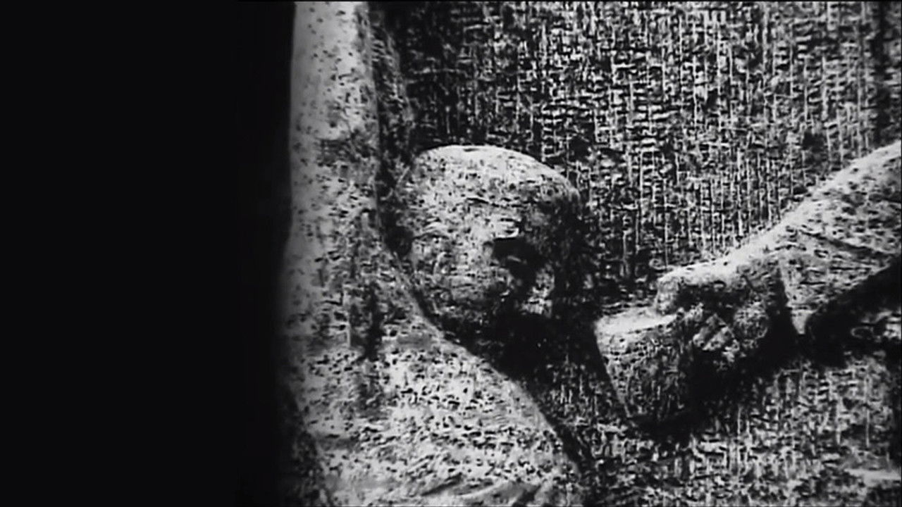 Слово после казни