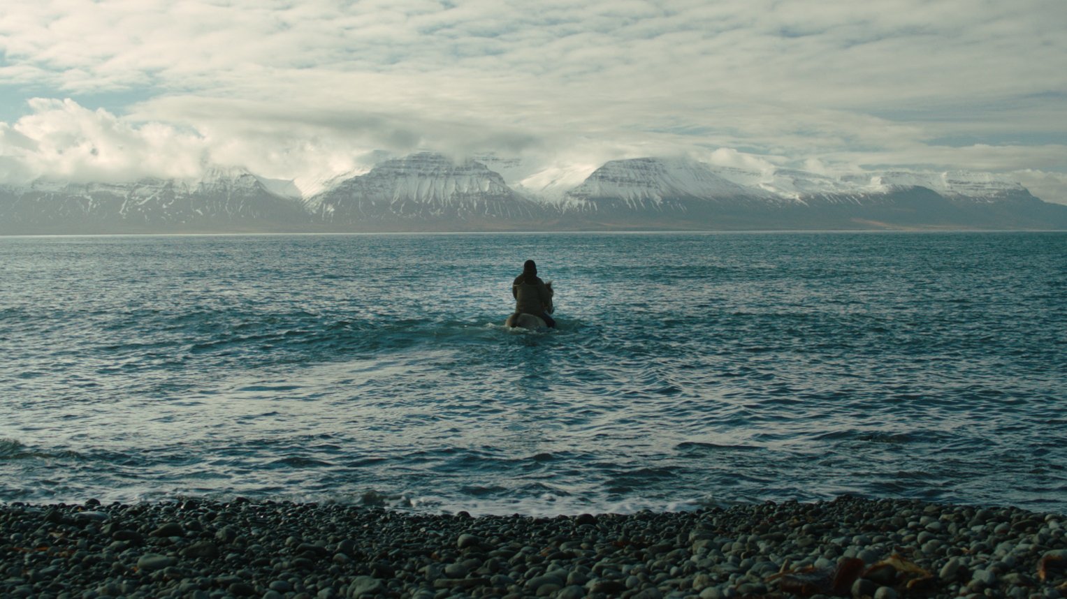 Storie di cavalli e di uomini