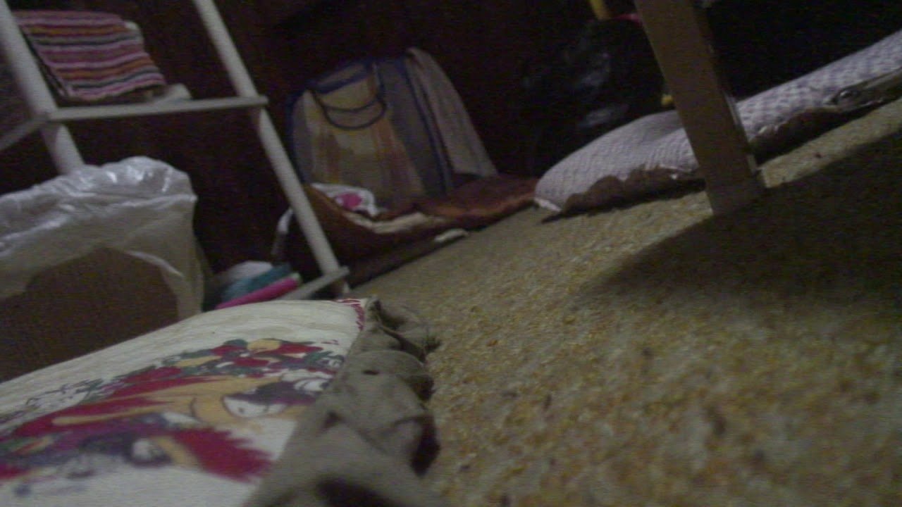 封印映像33 呪われた地下アイドル