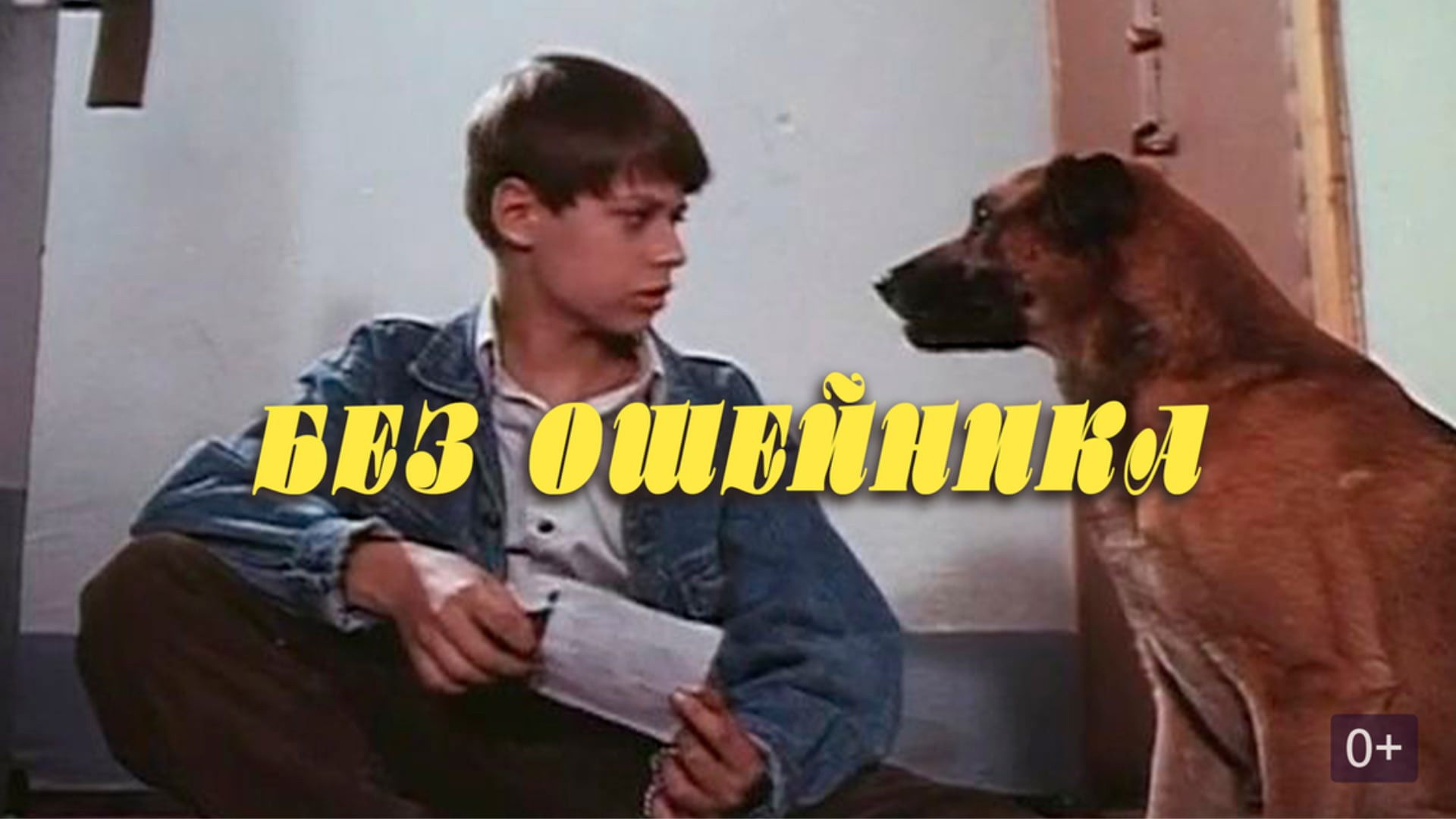 Без ошейника