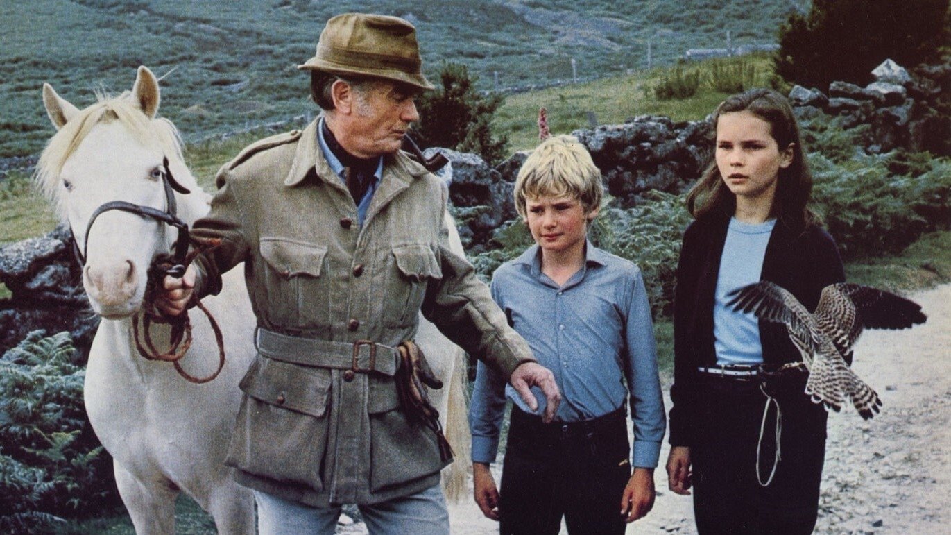 Corri libero e selvaggio