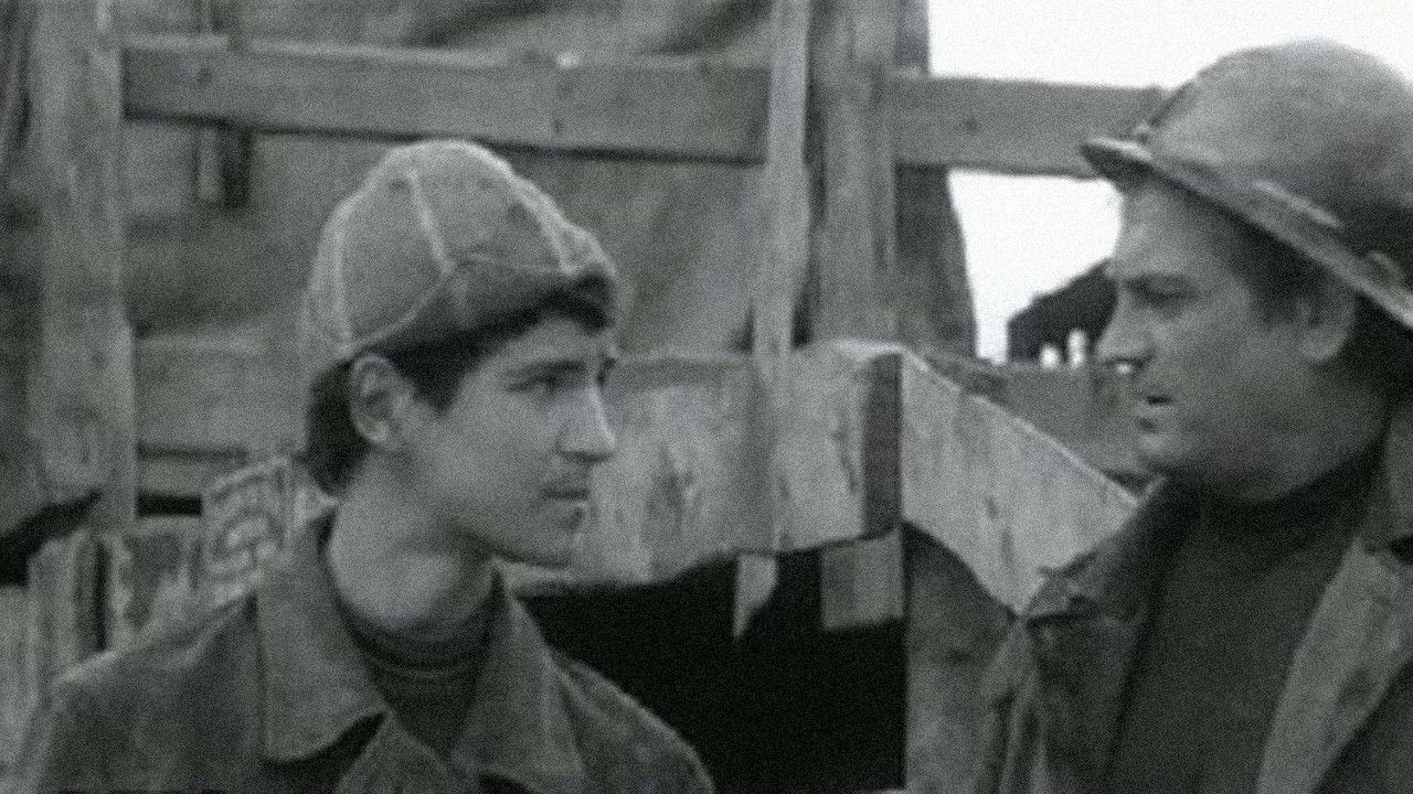 Практикант