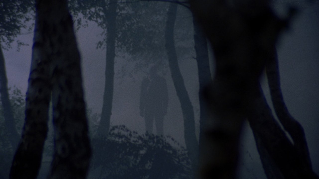 I corpi presentano tracce di violenza carnale