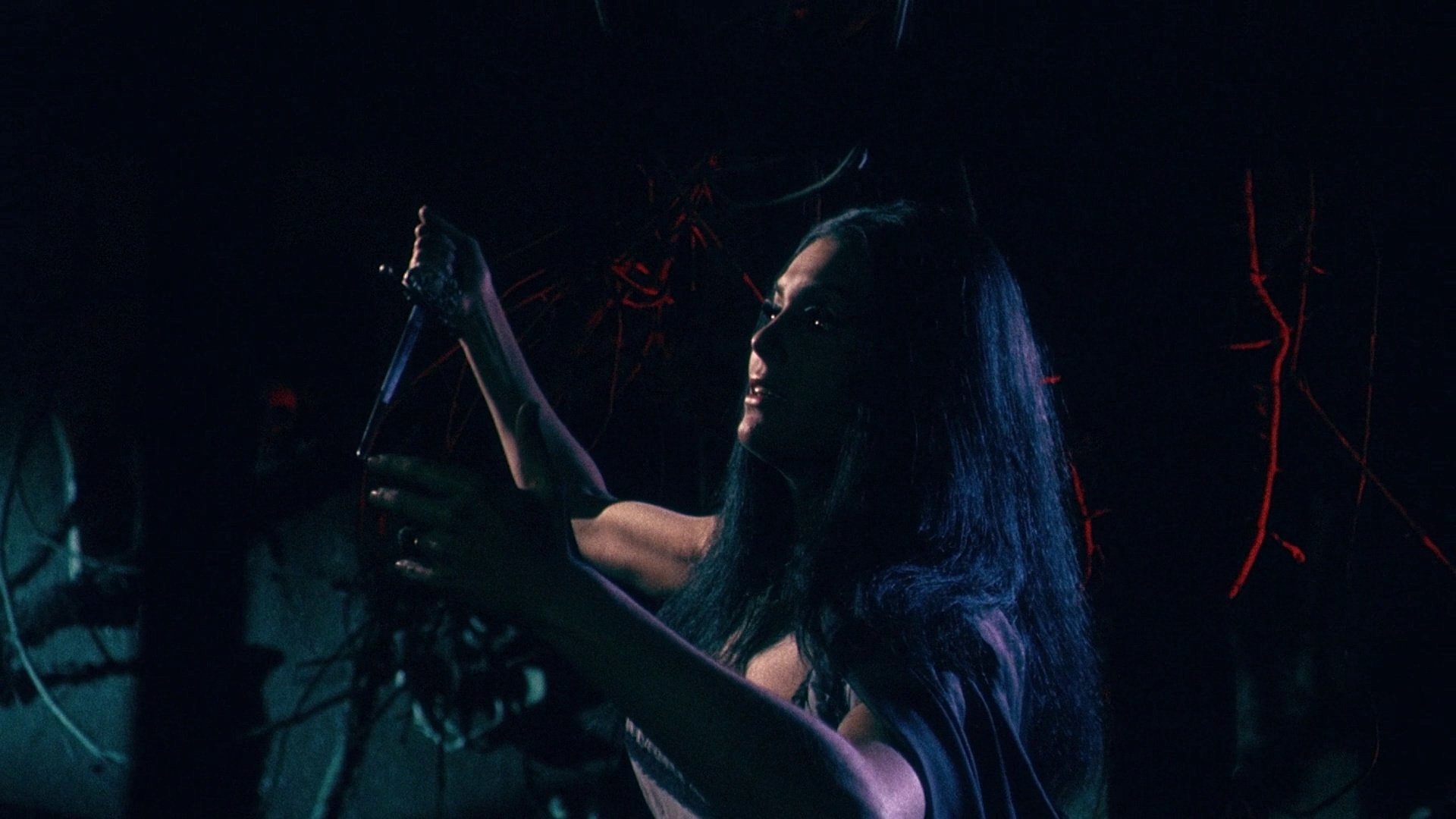 La frusta e il corpo