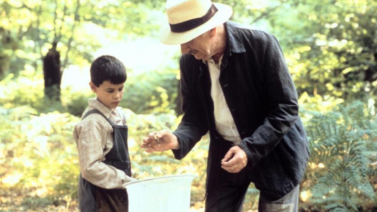 La lingua delle farfalle