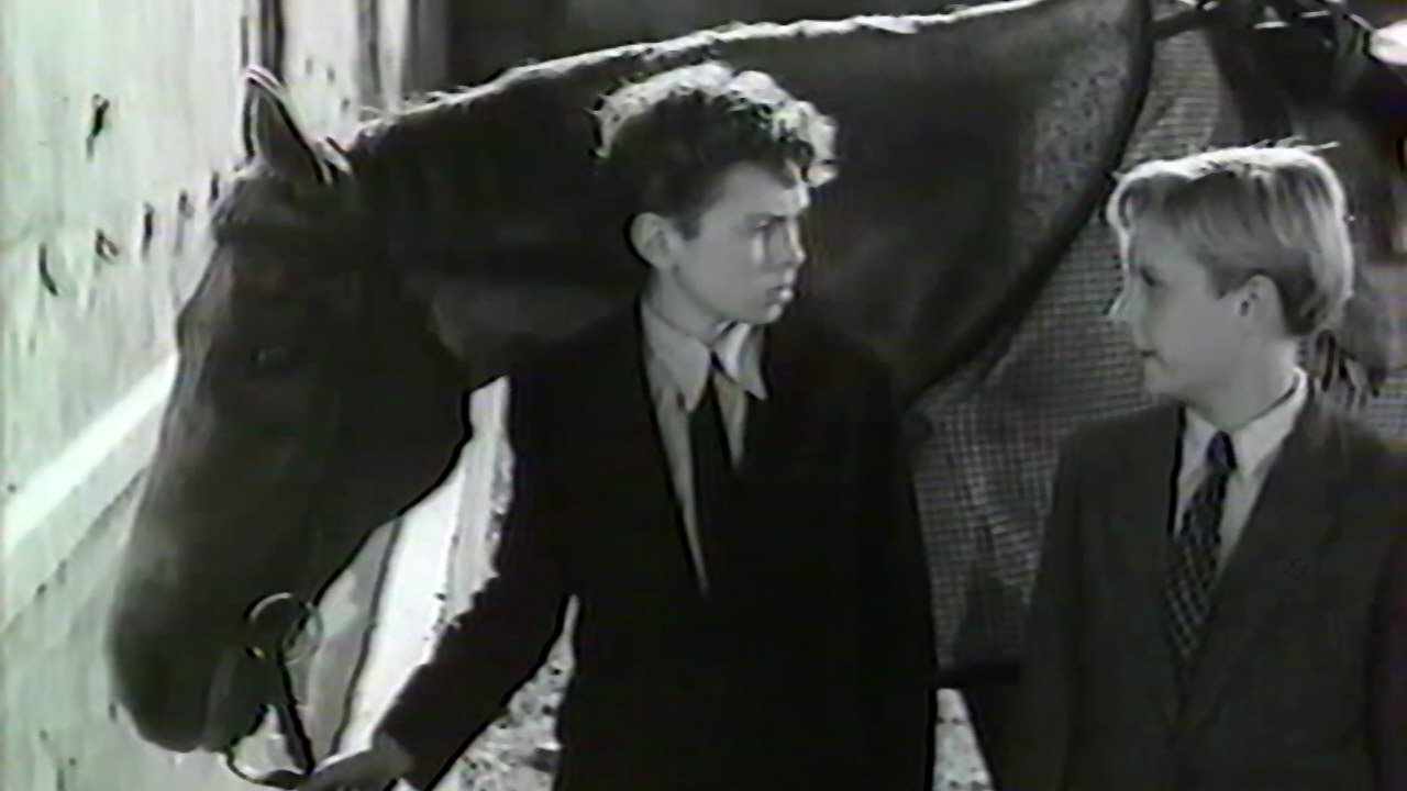 Les Premières Armes