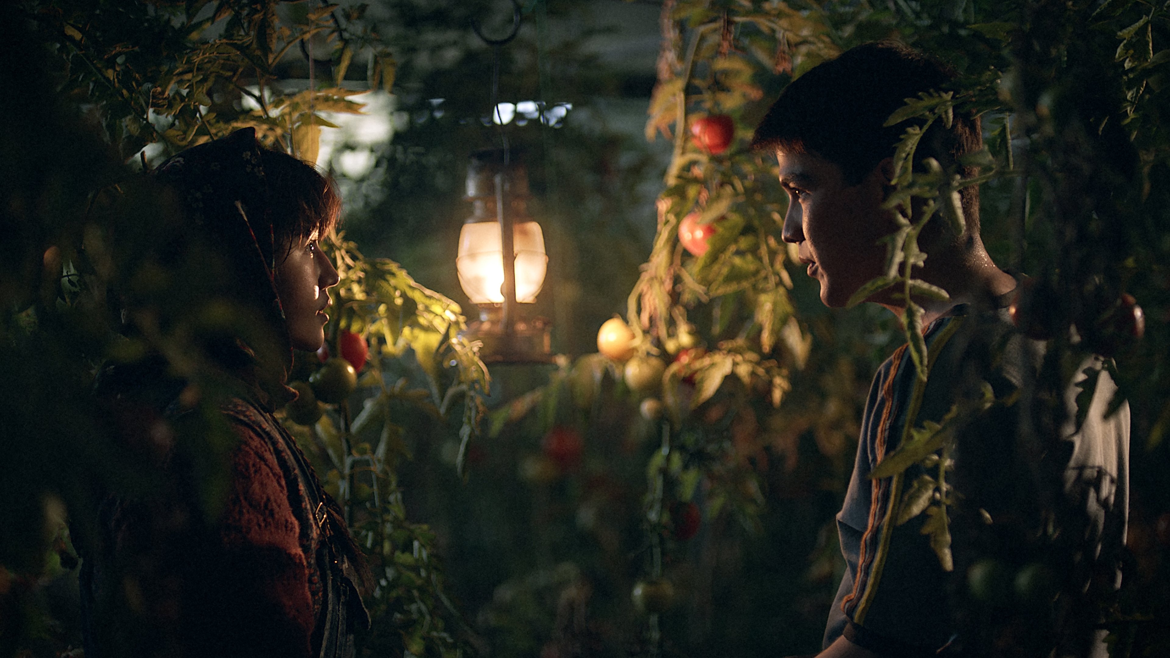 در سرزمین برادر