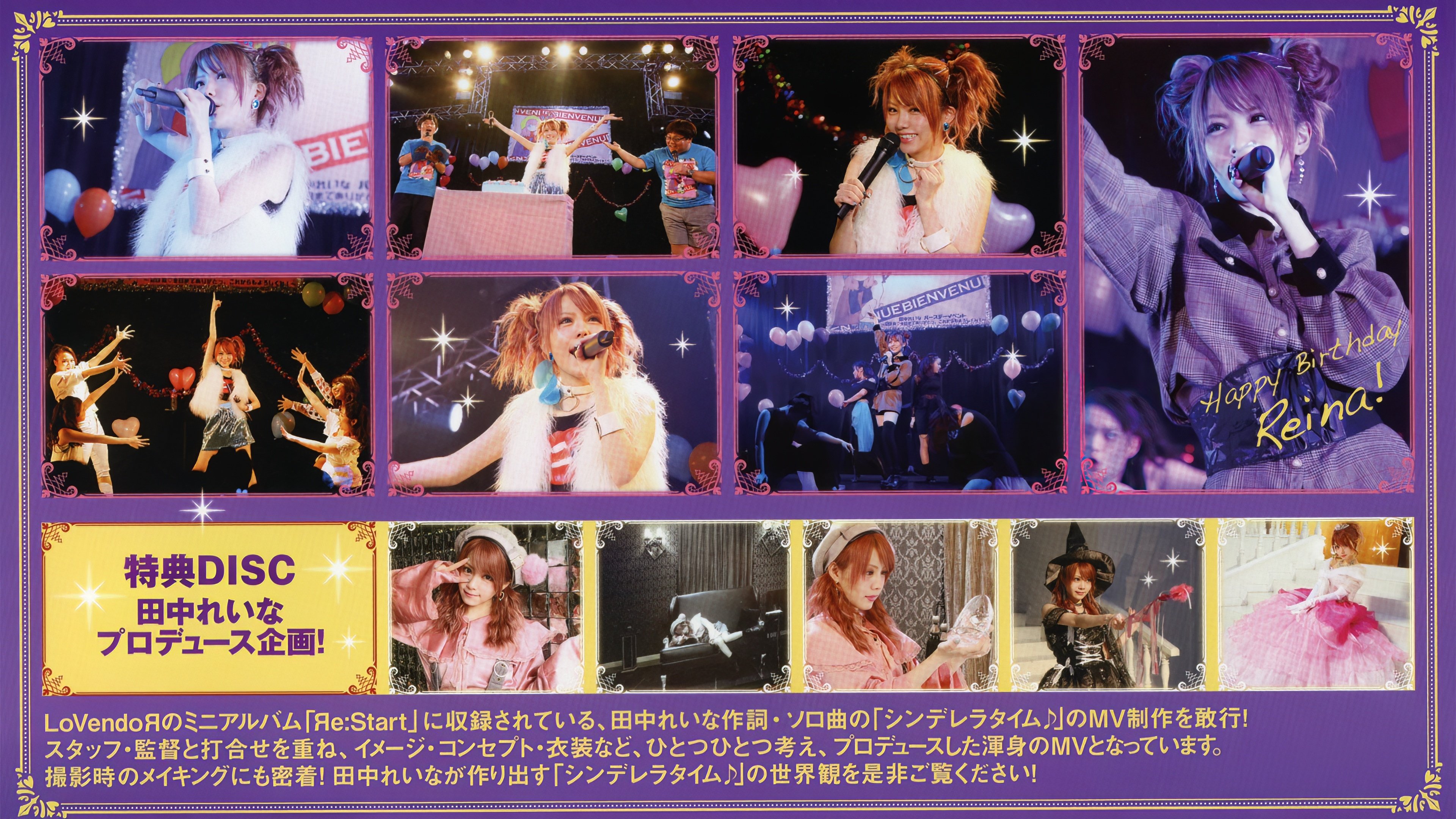 田中れいな バースデーイベント おつかれいな会6~28歳♡今日までありがとっ。これからもよろしくね!~