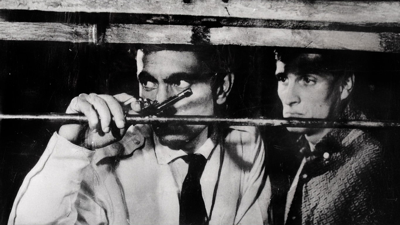 Zımba Gibi Delikanlı