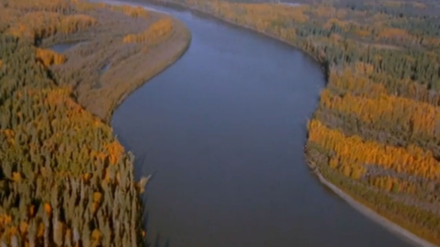 Footprints in the Delta