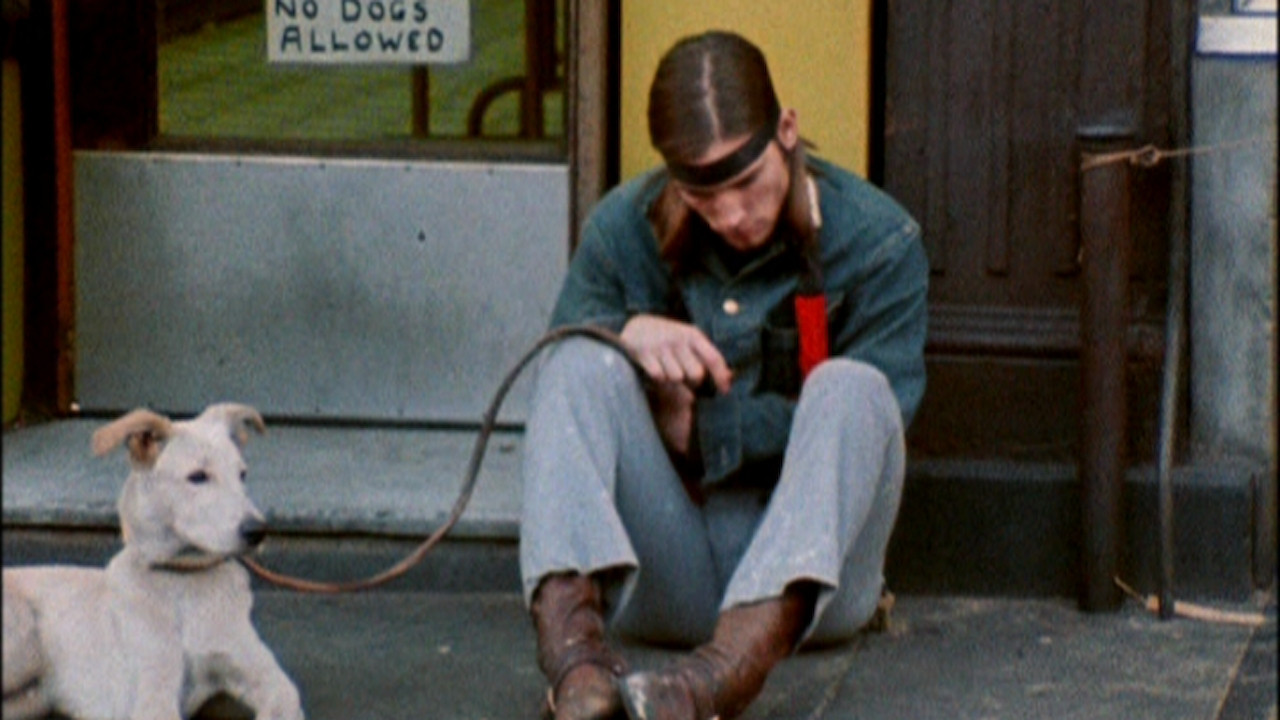 Trash - I rifiuti di New York