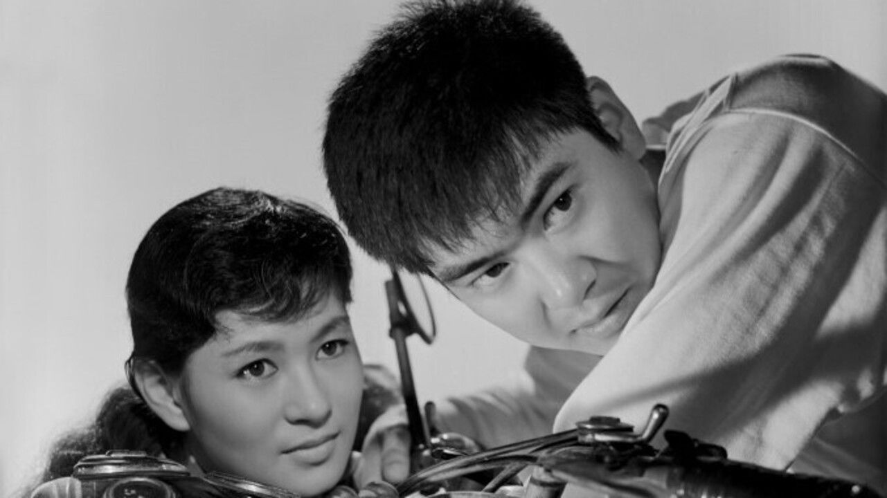 嵐の中を突っ走れ