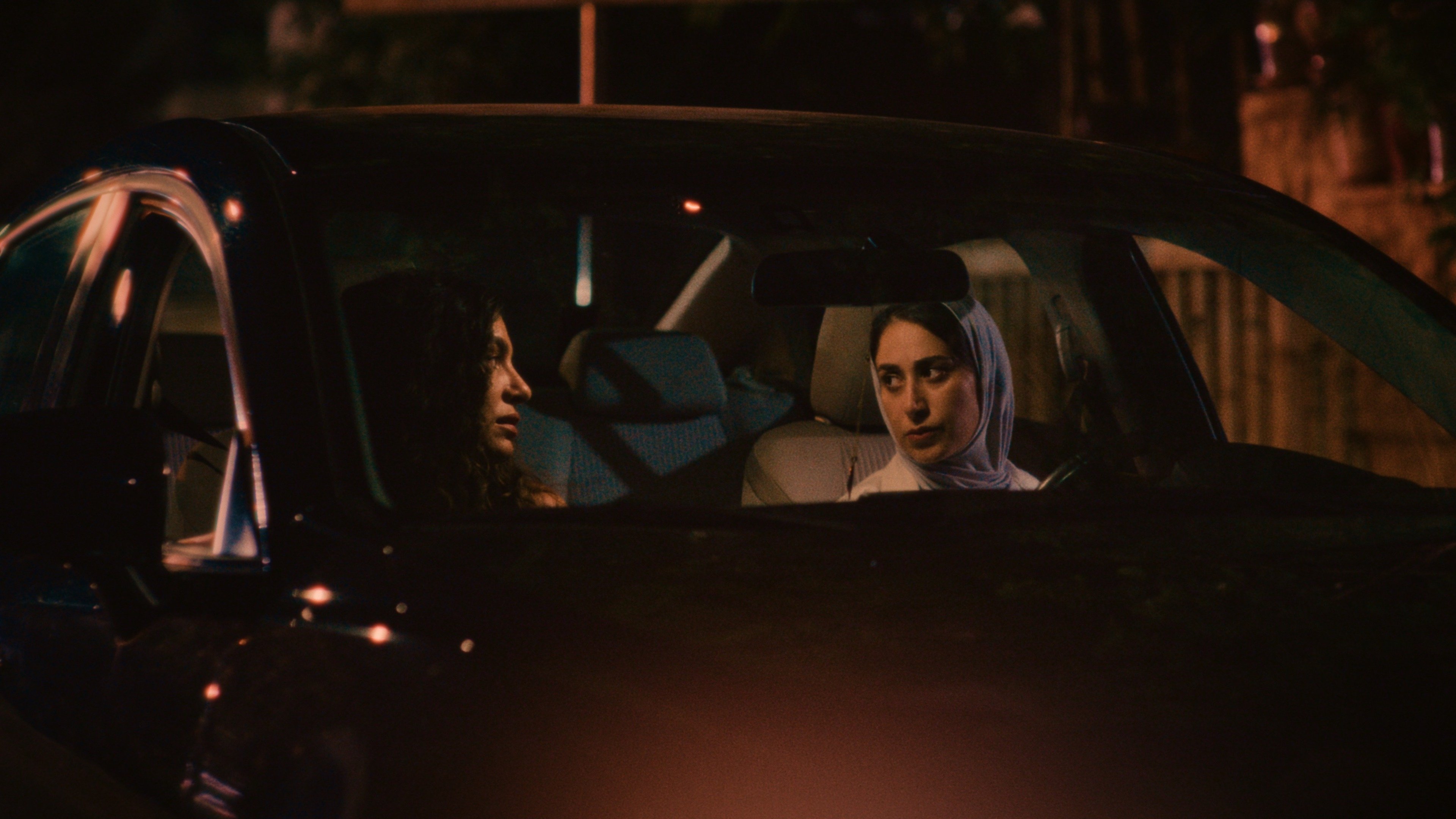 ذئاب البراري