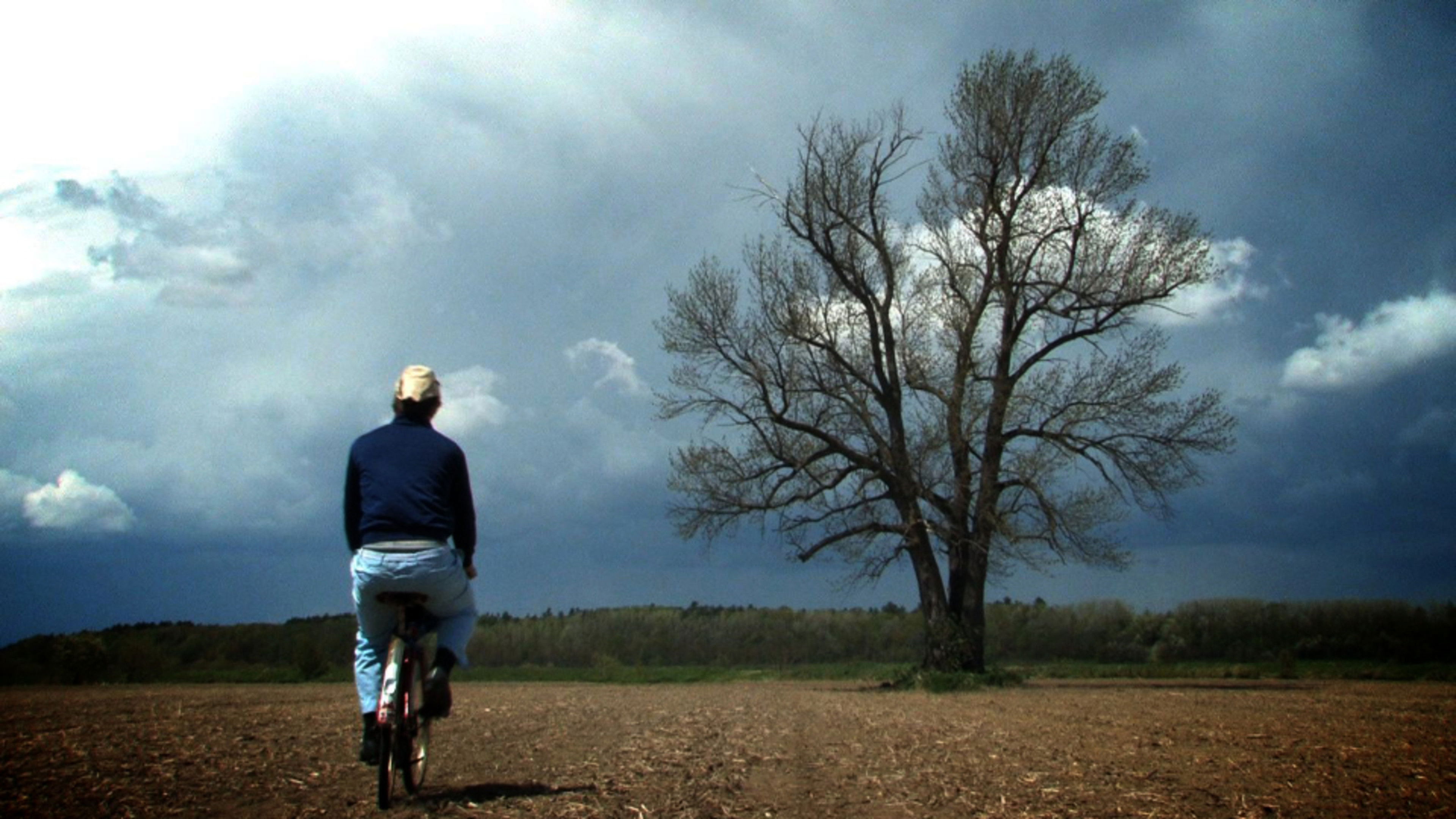 CONTRE UN VISON DE PERSE