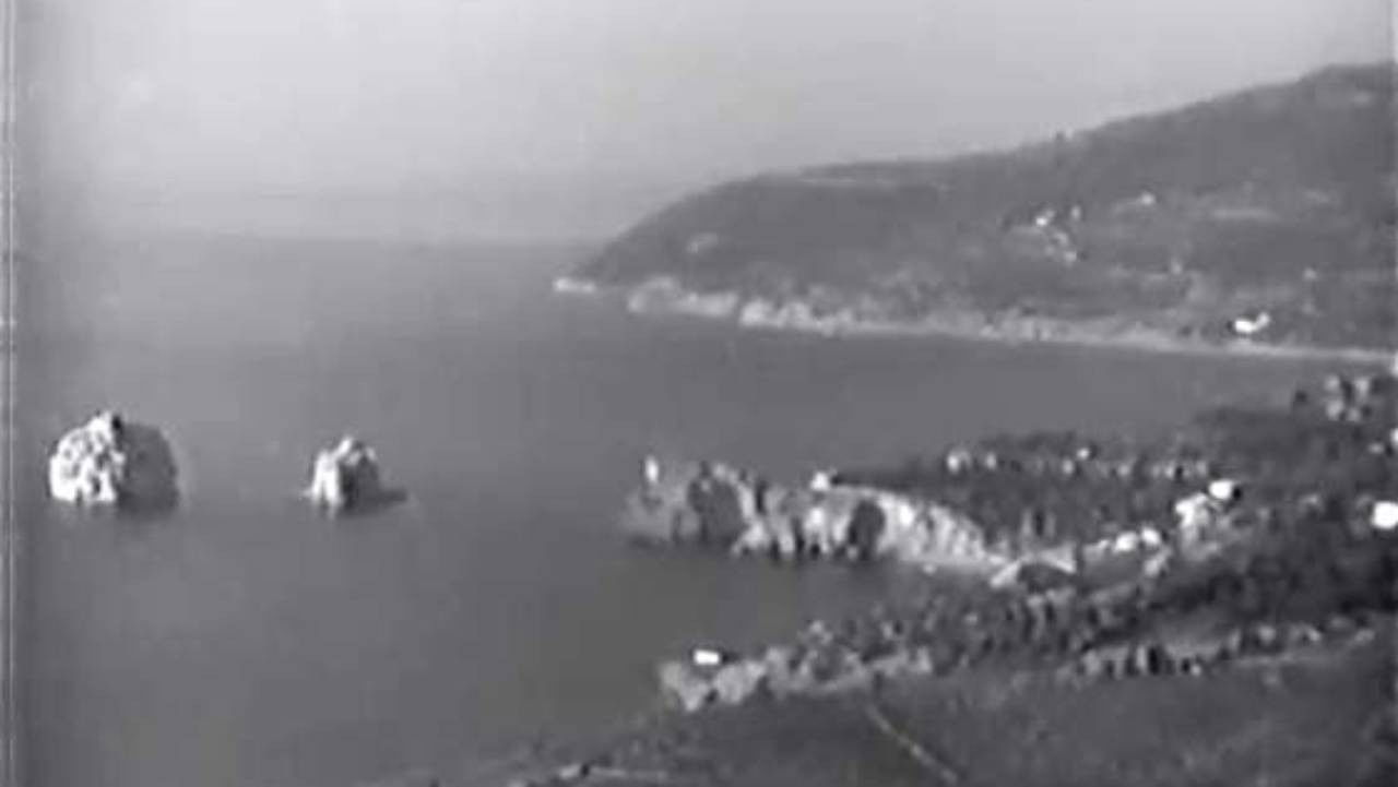 День в Артеке