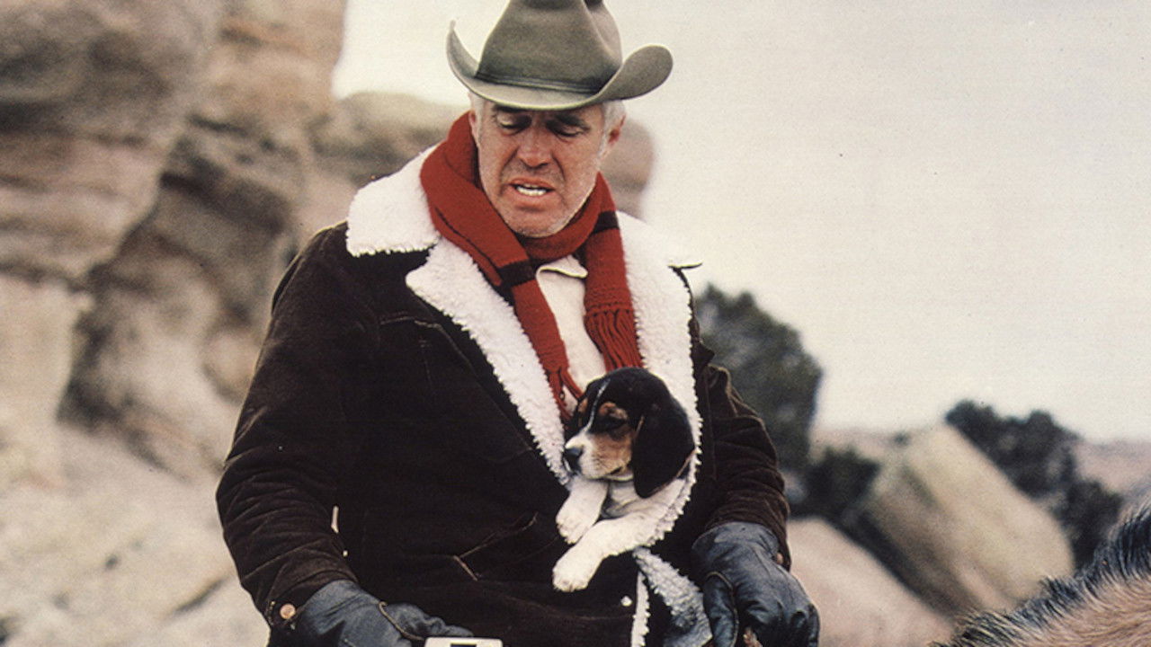 Cinque giorni ancora