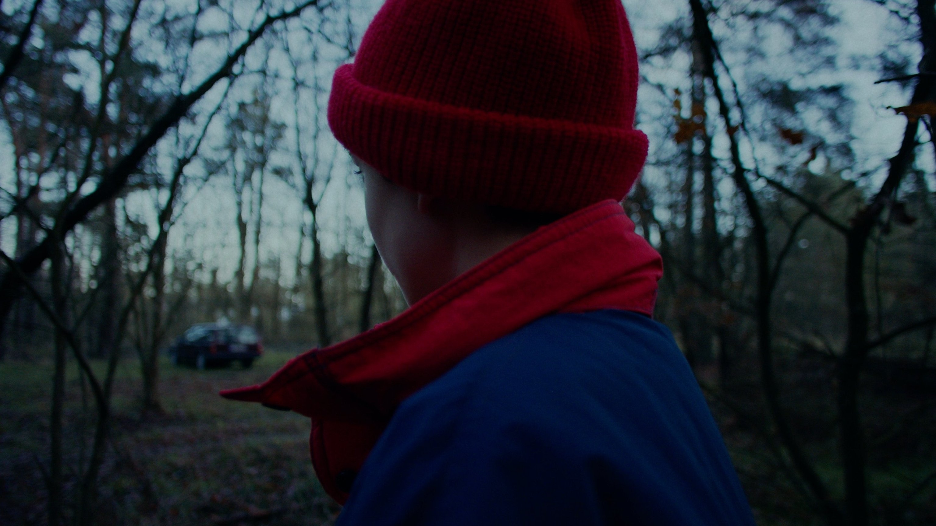 Die Amsel auf dem Ast