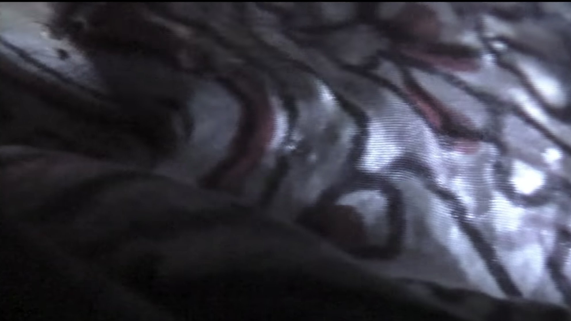 Venezia 70: Future Reloaded