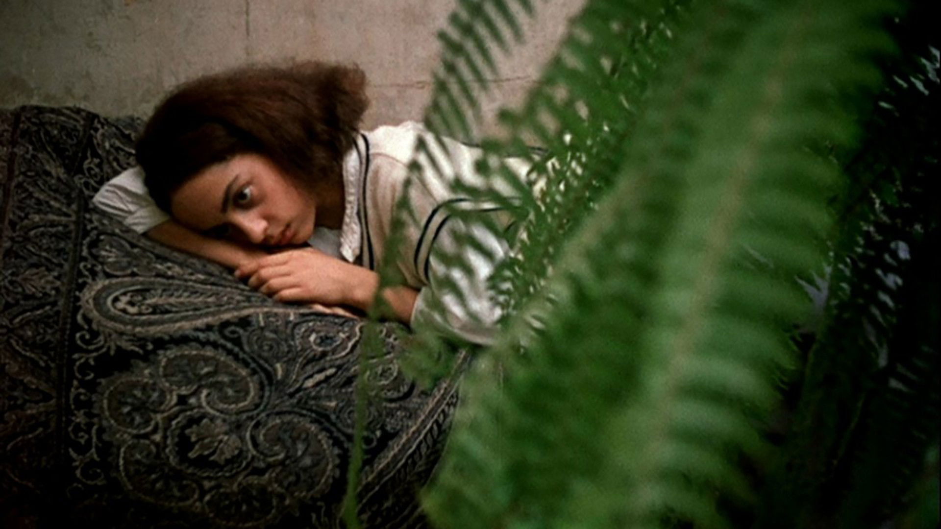 საფეხური