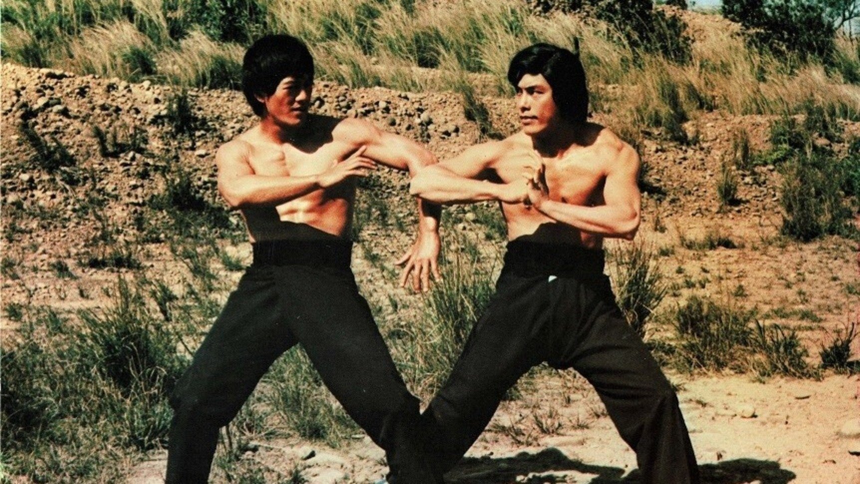 Bruce Lee Il Maestro