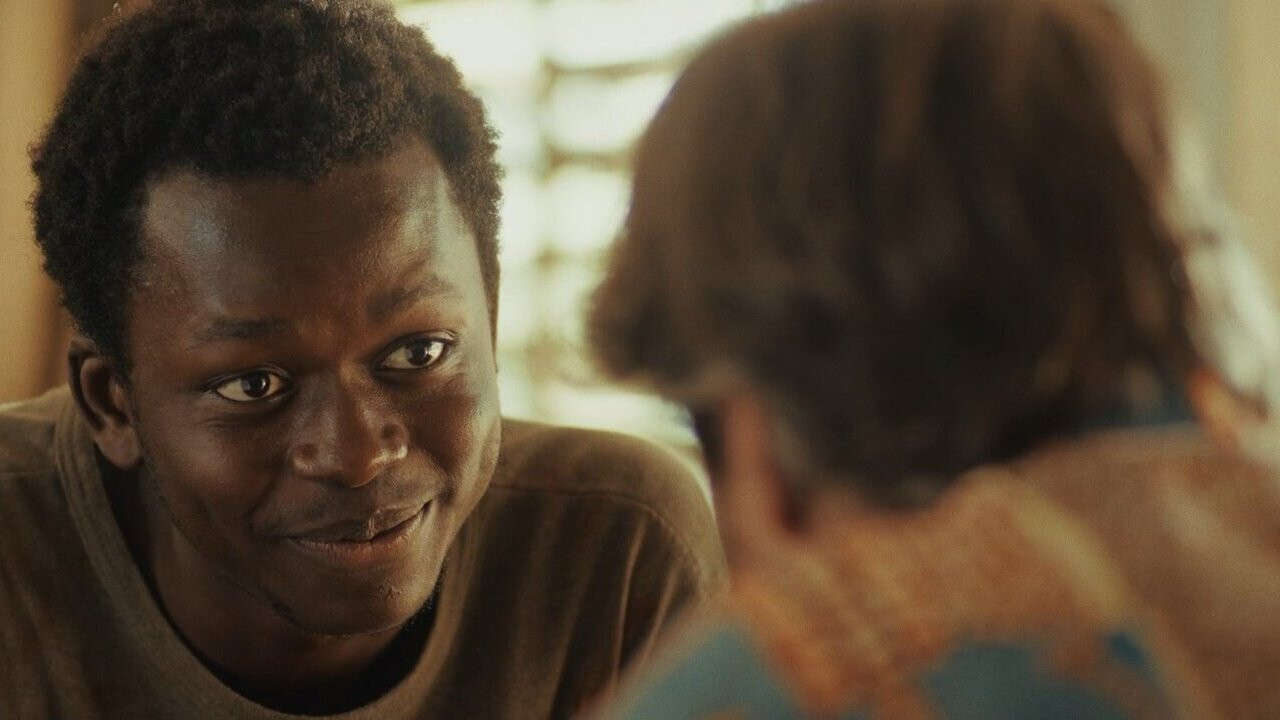 Te protegerán mis alas