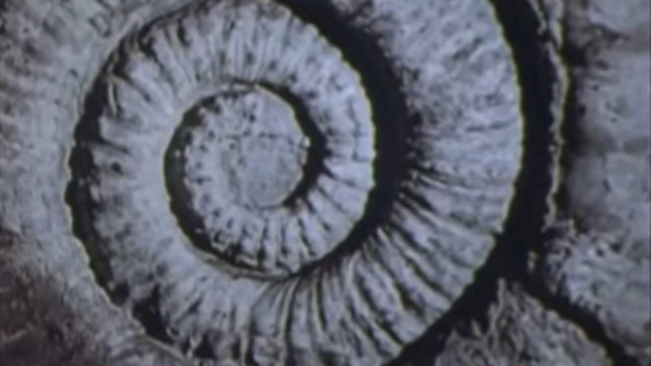 Закон Вернадского