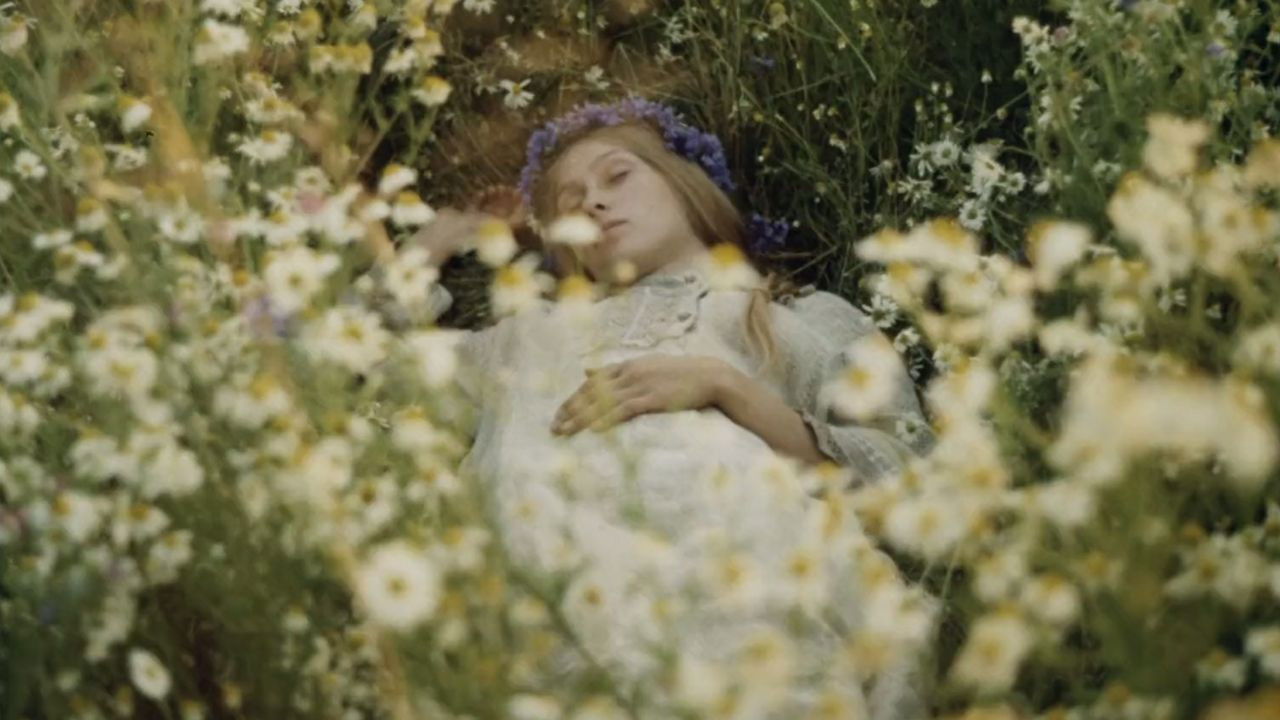 Раскиданное гнездо