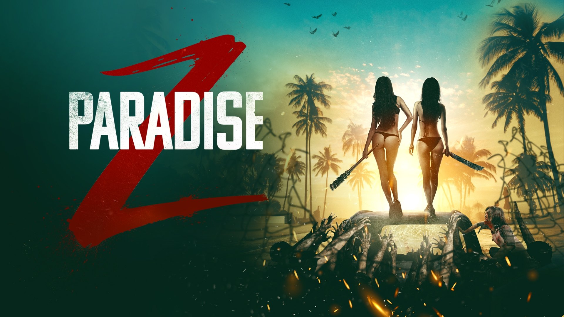 Paradise Z