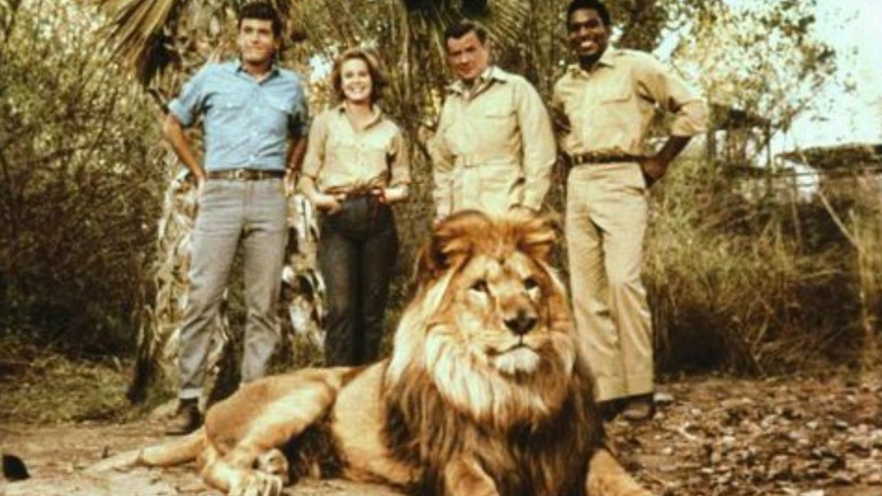 Clarence, il leone strabico