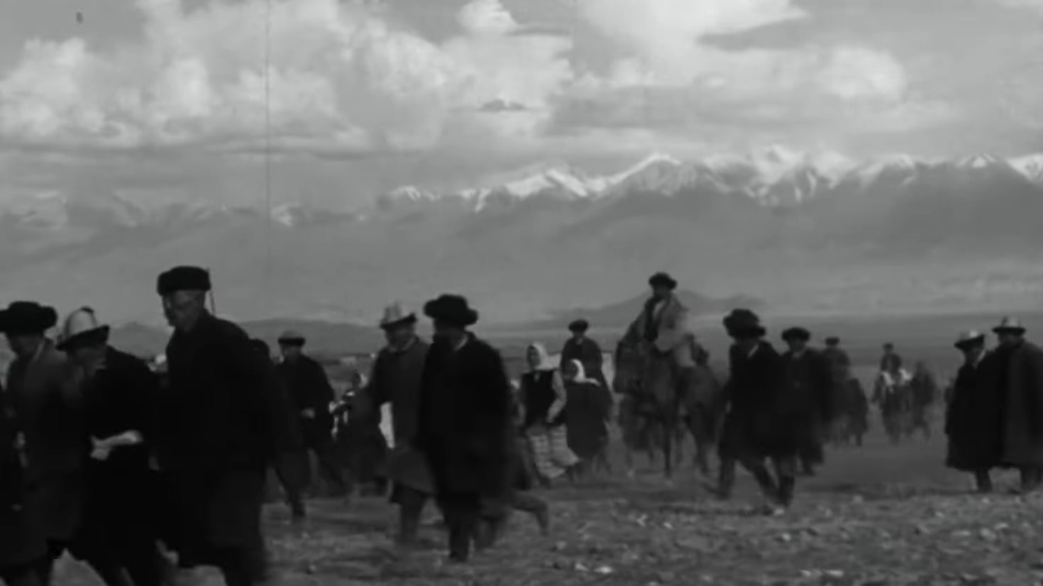 Материнское поле