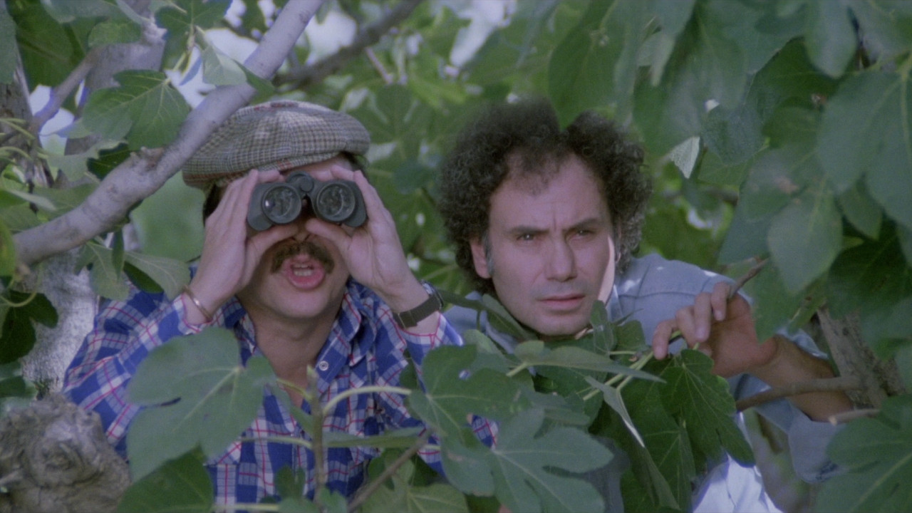 Eva Man (Due Sessi In Uno)