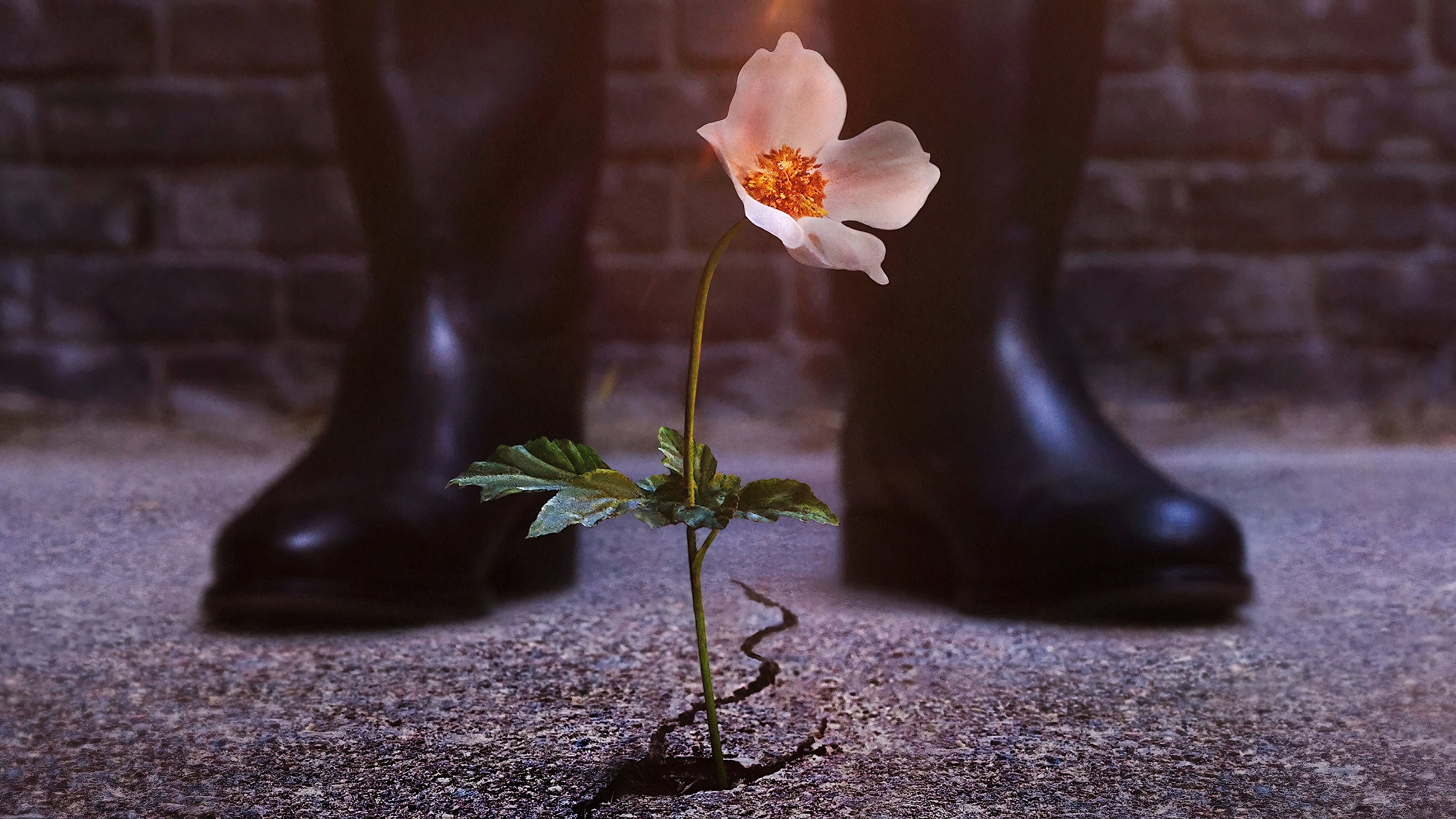 L'uomo nell'alto castello