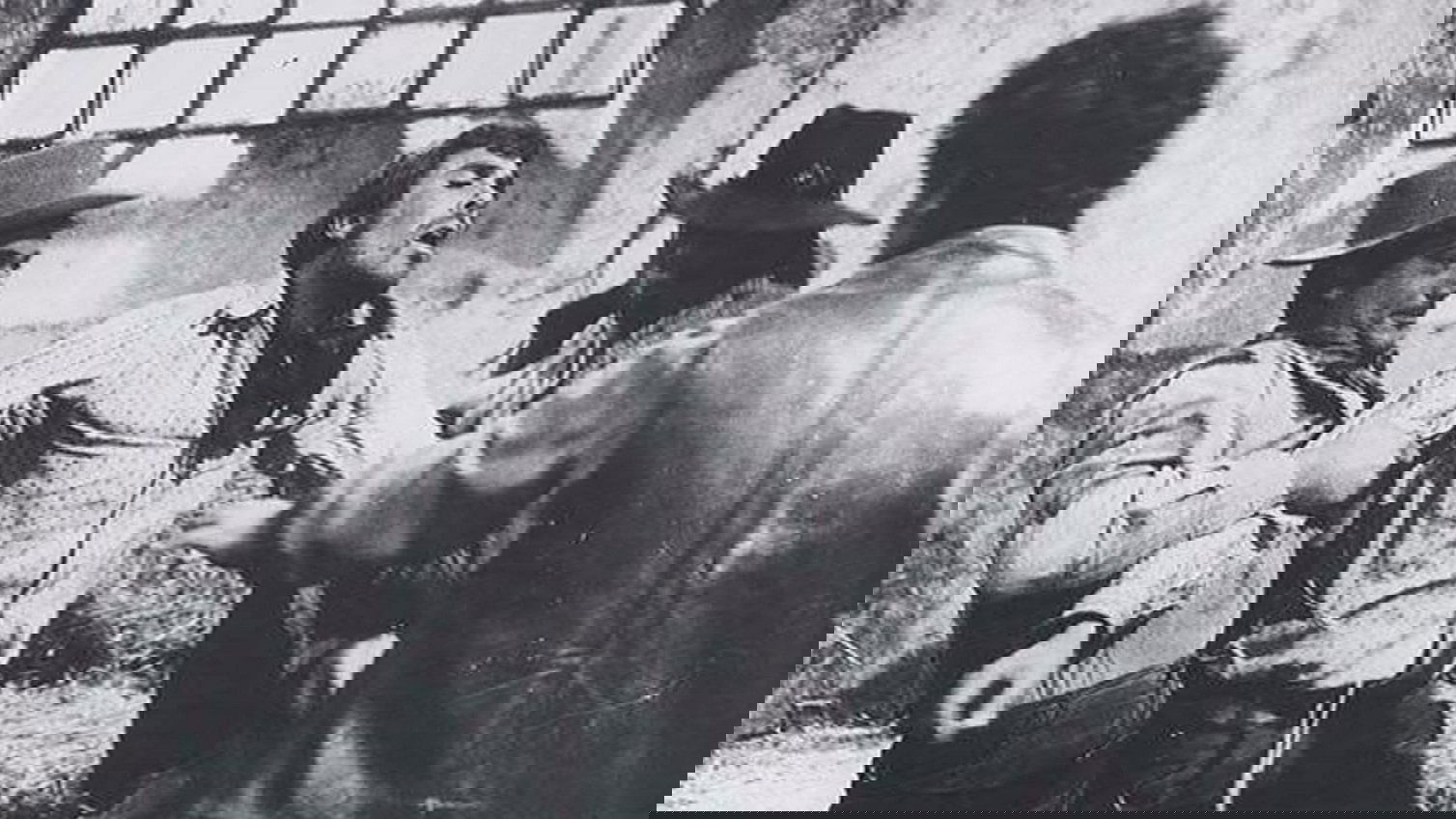 Il tempo degli avvoltoi