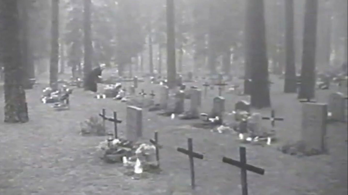 Varför måste vi dö?