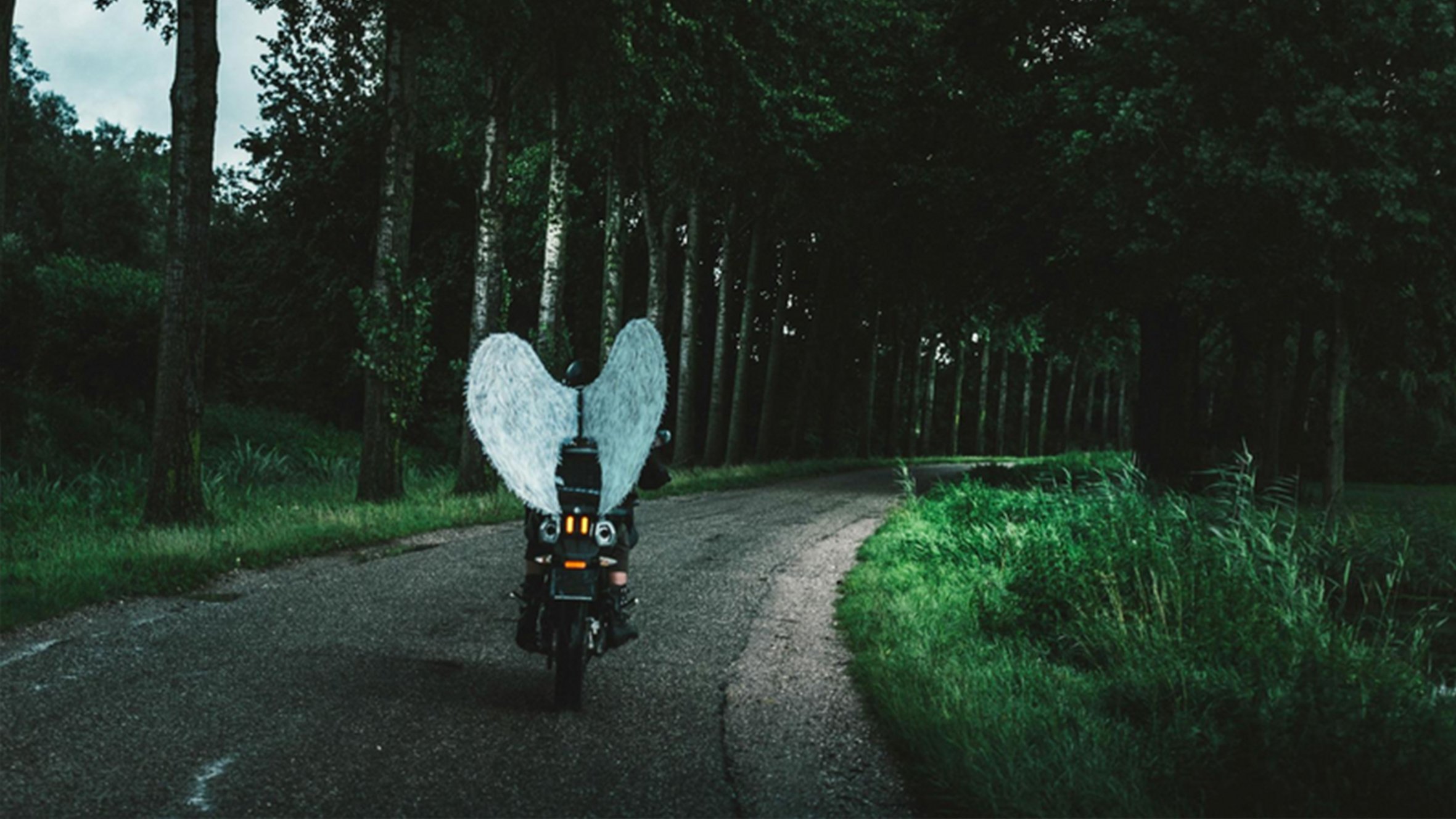 Grijs is ook een kleur