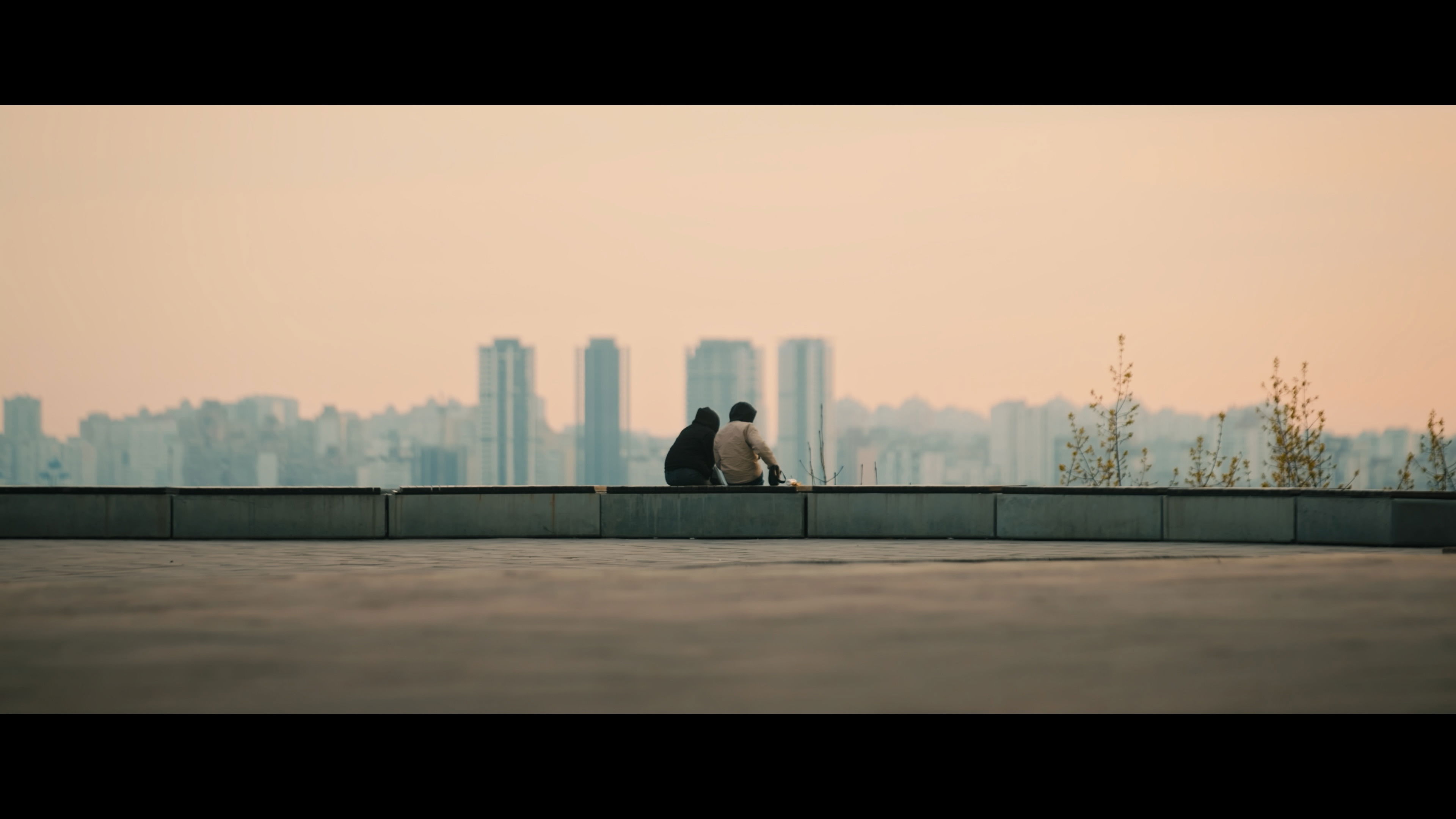 Гуси кохання