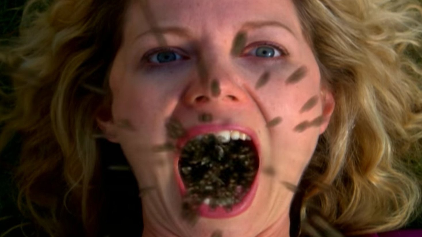 Infested - Lo sciame