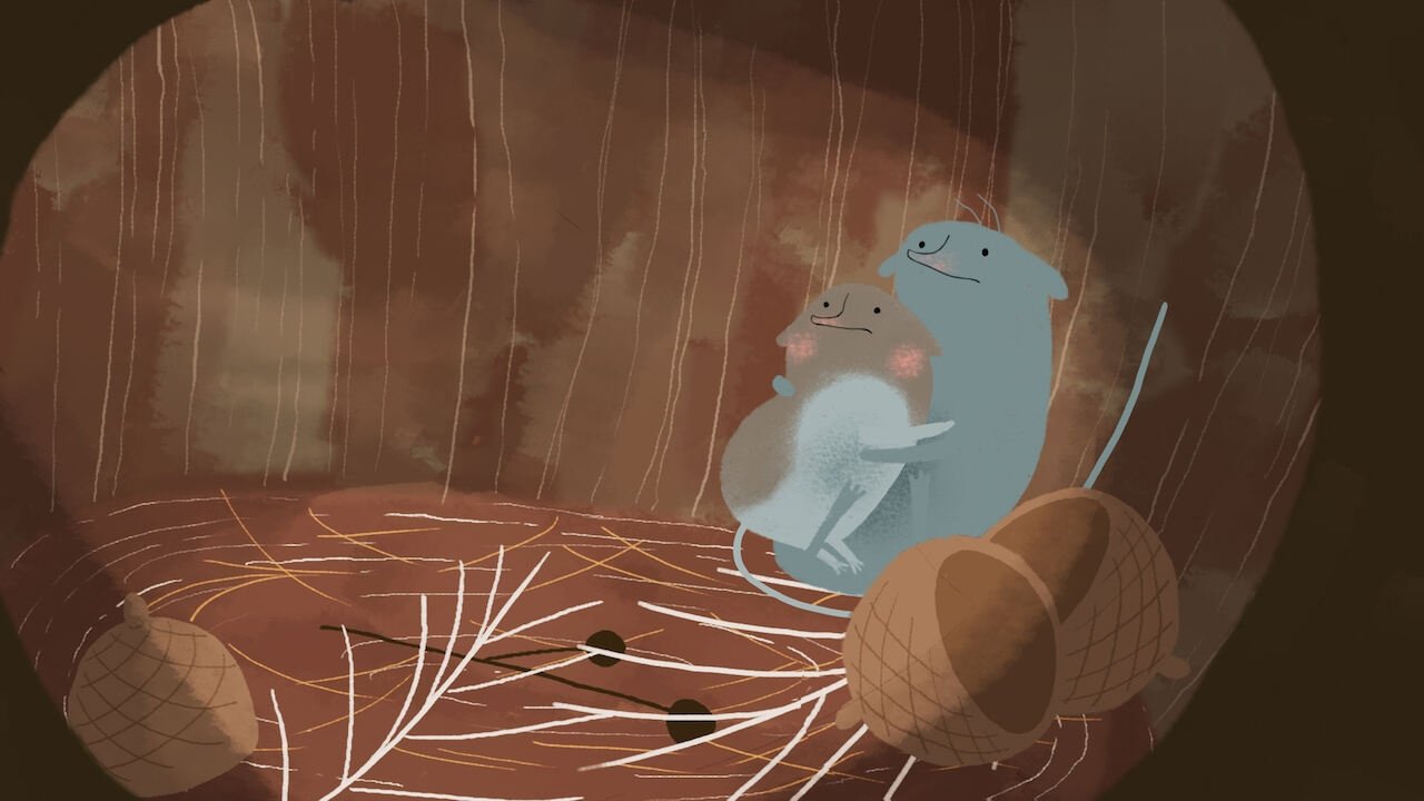 La colline aux cailloux (Programme)