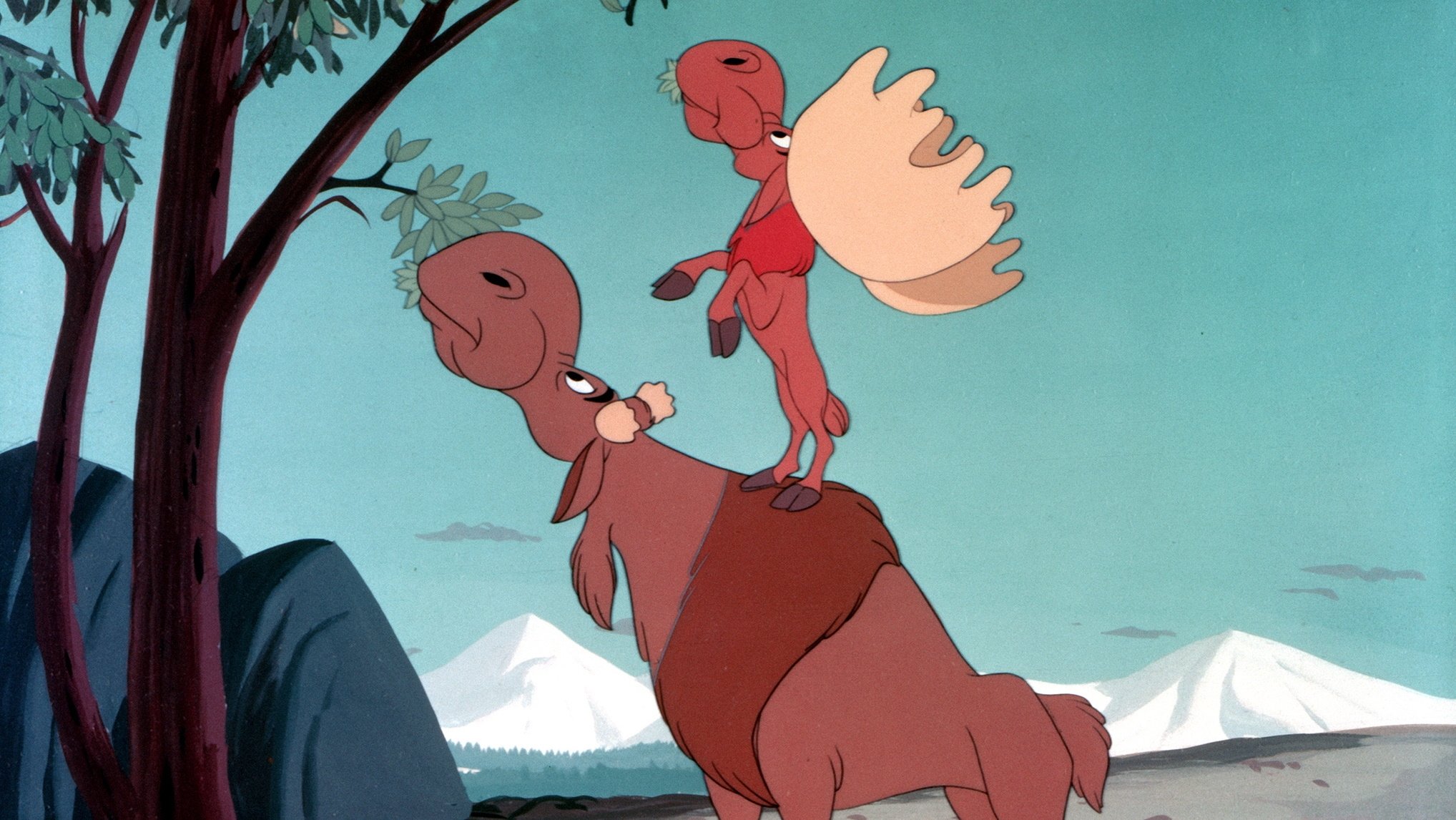 Morris la piccola alce