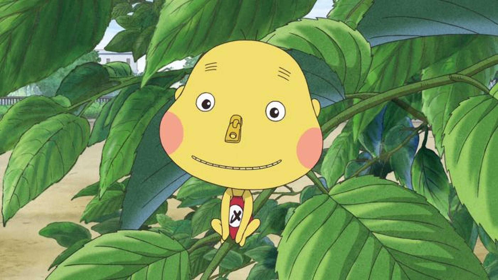 チャックシメゾウ