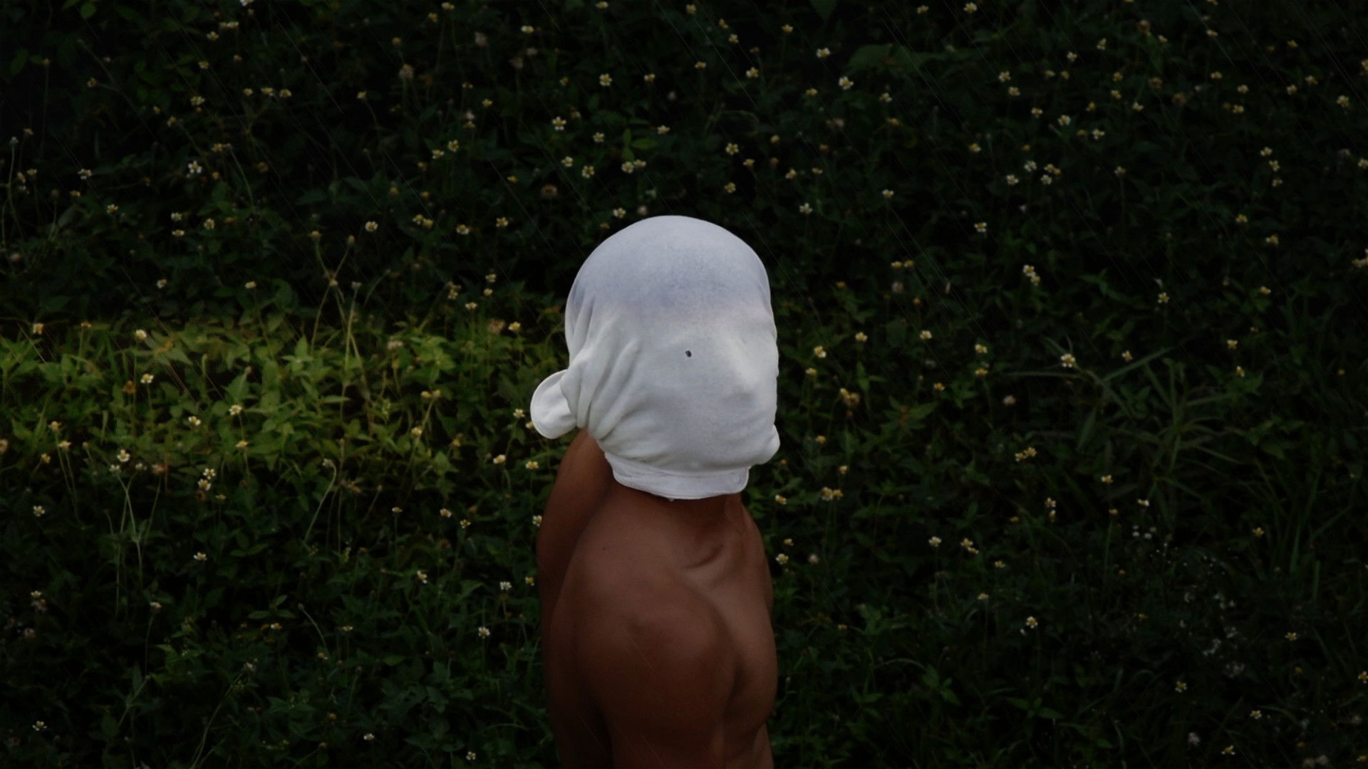 Los Hijos del Silencio