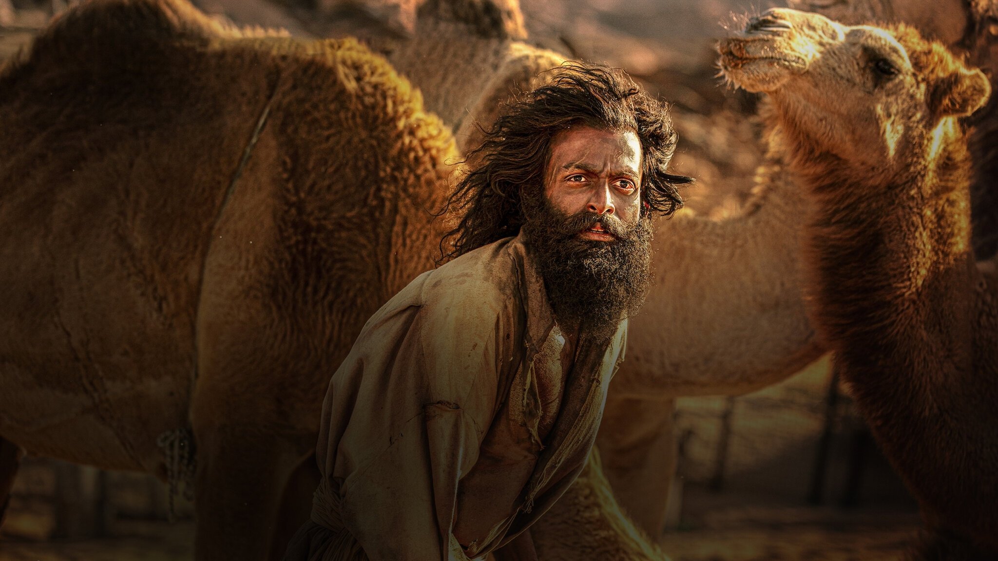 ആടുജീവിതം