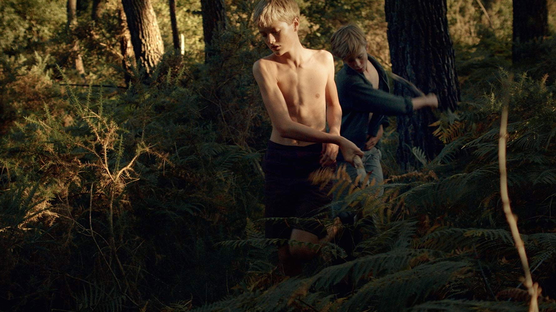 L'échappée sauvage