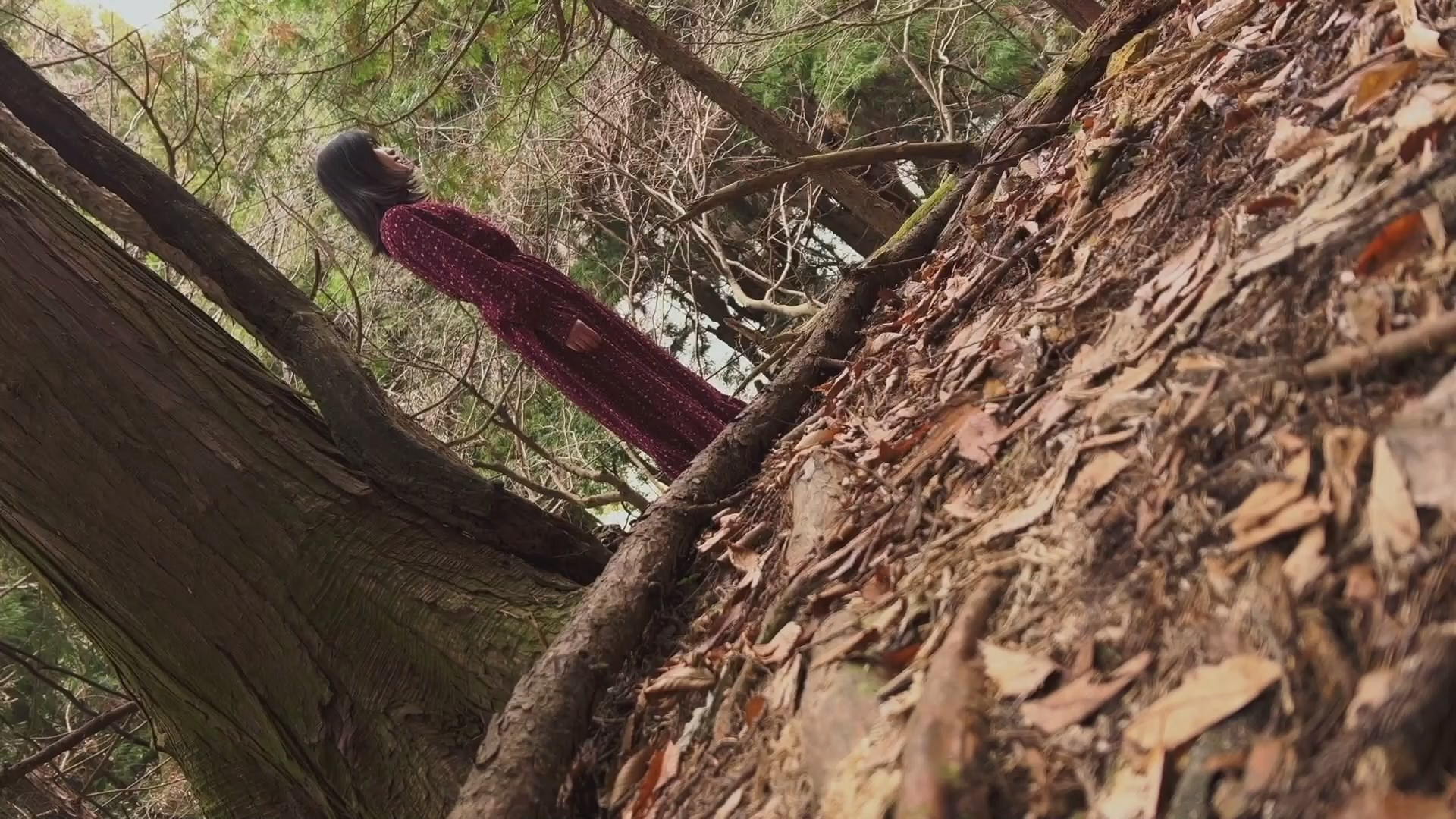 白石晃士の決して送ってこないで下さい