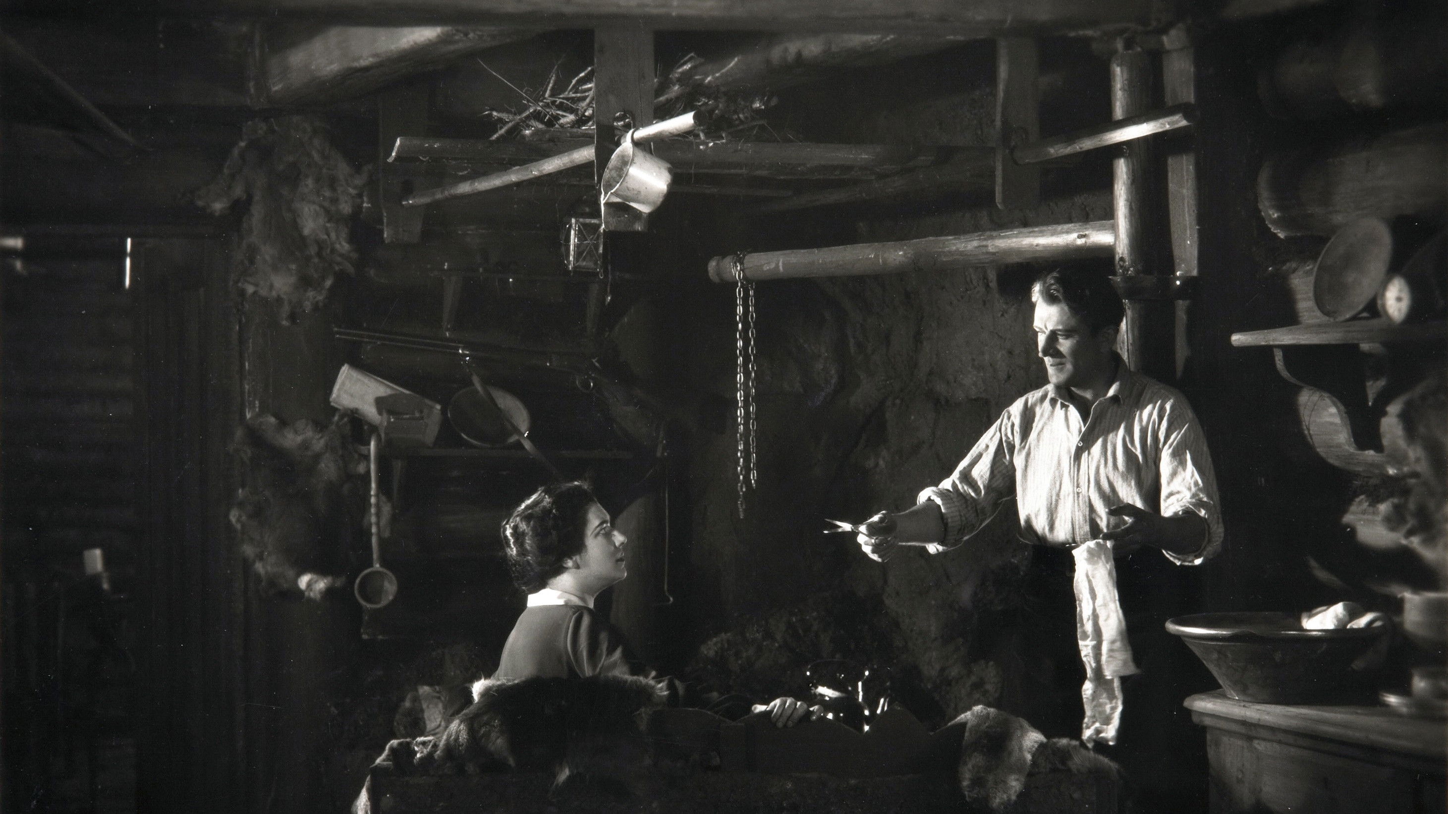 L'aquila della montagna