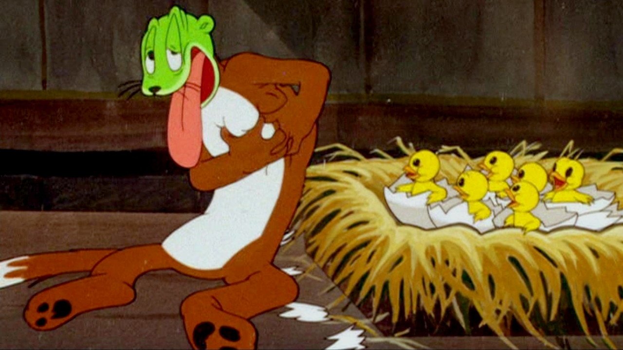 Una giornata in campagna