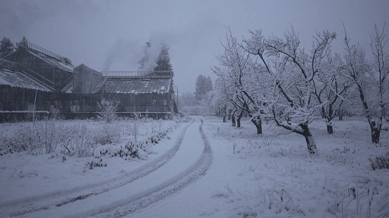 Історія зимового саду