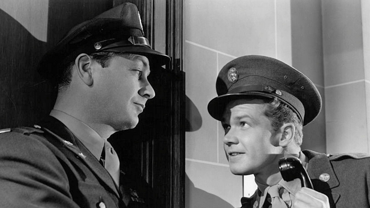 Scintille tra due cuori